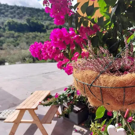 בית אירוח I Sogni